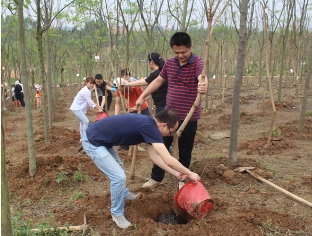 2121非凡·(中国集团)体育官方网站