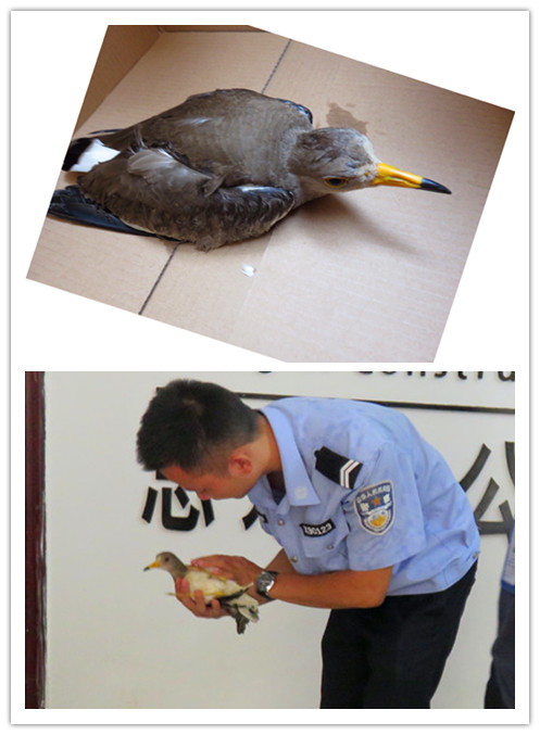 2121非凡·(中国集团)体育官方网站