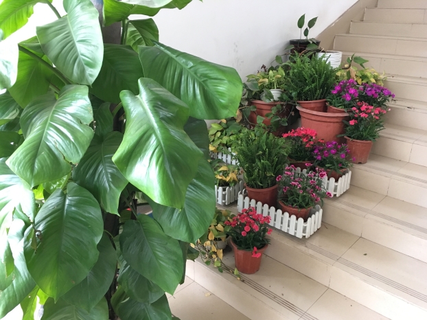 2121非凡·(中国集团)体育官方网站