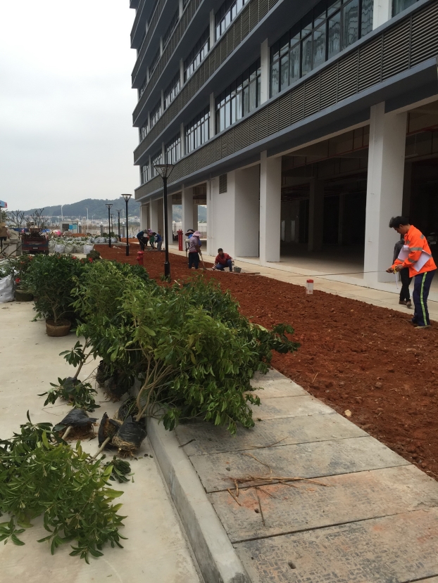 2121非凡·(中国集团)体育官方网站