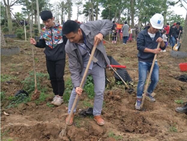 项目党员向导团员青年开展植树活动.jpg