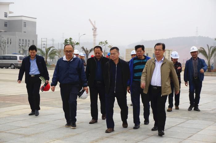 5.吴锡熹一行在项目完工区举行实地观察。。。。谢微旋 摄700.jpg
