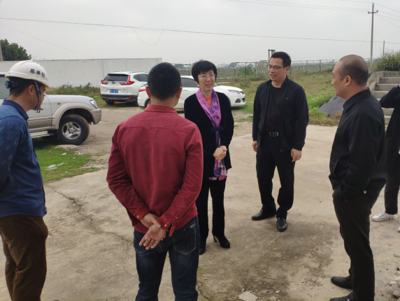 11辛红梅视察项目。。。。梁荣程 摄700.png