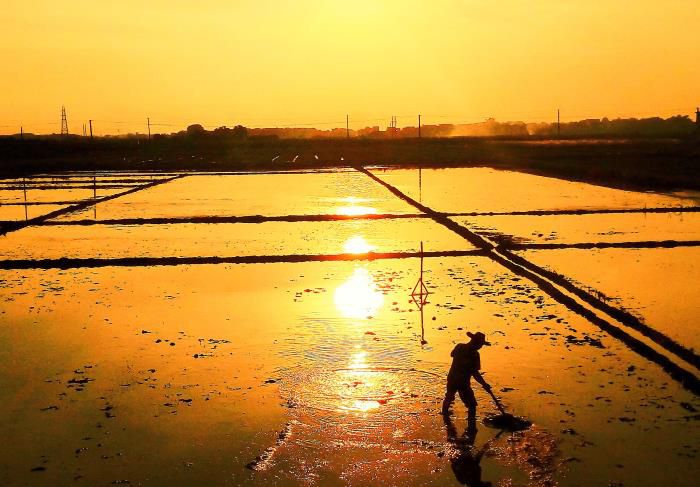 5摄影作品《耕作》获三等奖。。。韦荣伟 摄-13768307144700.jpg