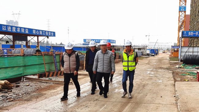 （备。。。。。┥钊胂殖∩蟛。。。。。陆大南 摄.jpg