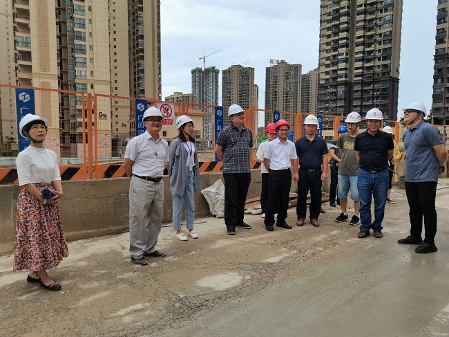 调研现场。。彭永彬 摄（修图）.jpg