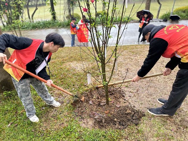 为树苗松土固基。。。周煜川 摄（修图）.jpg